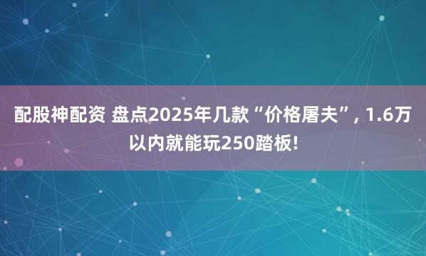 配股神配资 盘点2025年几款“价格屠夫”, 1.6万以内就能玩250踏板!