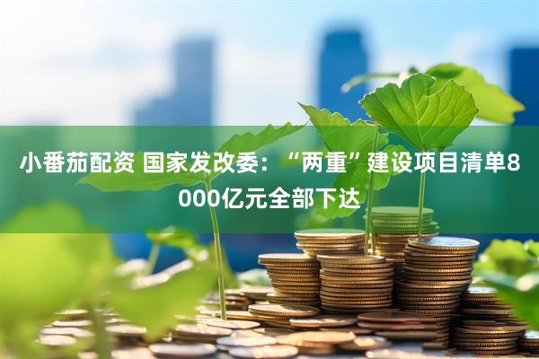小番茄配资 国家发改委：“两重”建设项目清单8000亿元全部下达