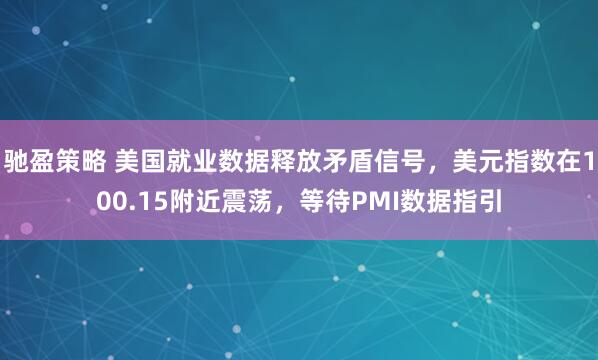驰盈策略 美国就业数据释放矛盾信号，美元指数在100.15附近震荡，等待PMI数据指引